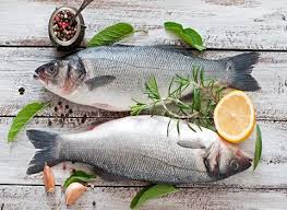 قیمت خرید ماهی سفید جنوب + سفارش عمده